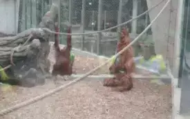 Wycieczka do Łodzi 2