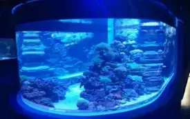 Wycieczka do Łodzi 14