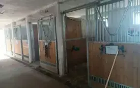 Trzecioklasiści w Łęgu Natura 10