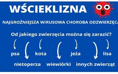 Zdjęcie do Wścieklizna wśr&oacute;d zwierząt w wojew&oacute;dztwie mazowieckim!